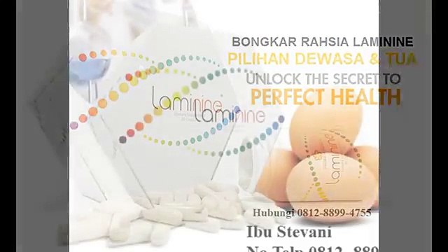 0812-8899-4755 ( Ibu Stefani ),Jual Laminine Surabaya,Jual Obat Laminine
