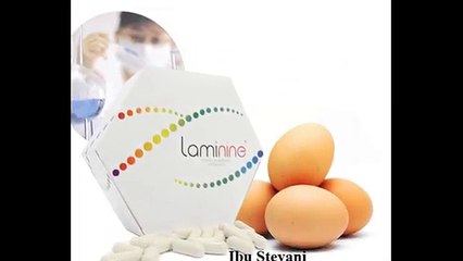 Ibu Stefani  0812-8899-4755,Jual Laminine Di Medan,Jual Laminine Indonesia