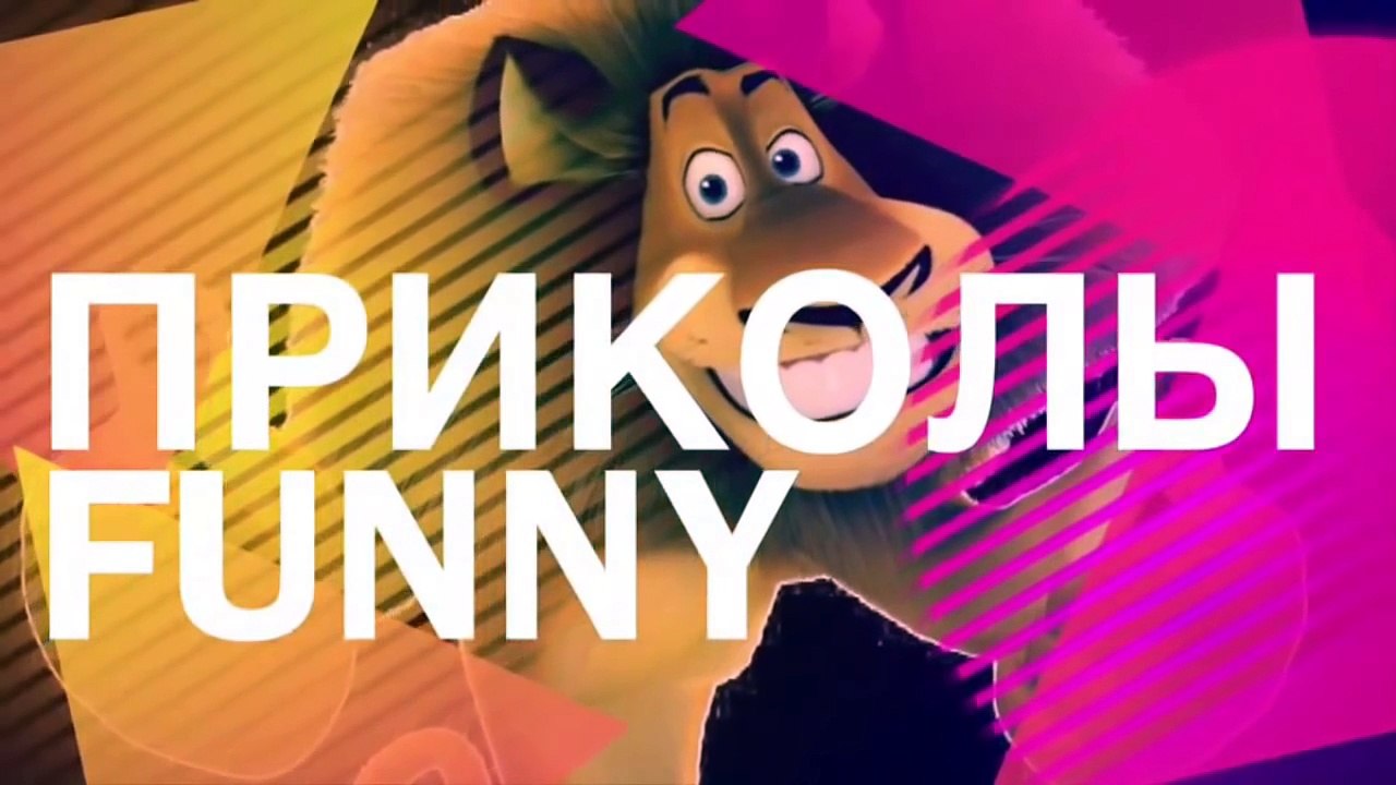 ЛУЧШИЕ ПРИКОЛЫ за октябрь 2016 #4