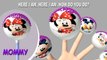 Finger Family Mickey Mouse Nursery Rhyme | cake pop Mickey Mouse Finger Family