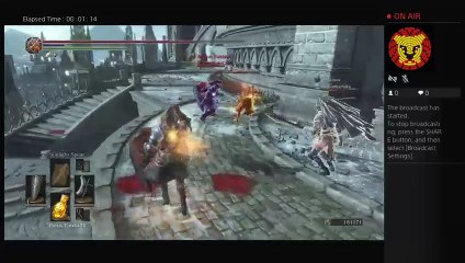 Ds3 ganking (3)