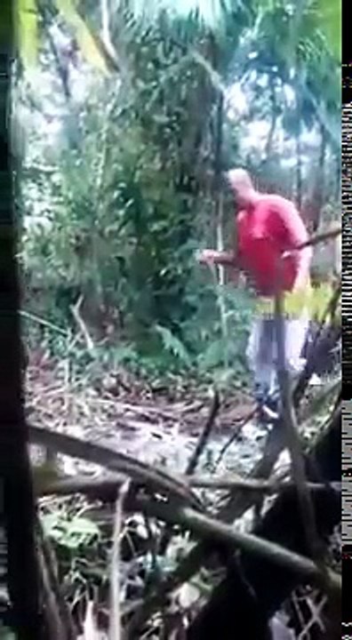 Olha Cobra Kkk