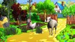 Cow Finger Family Nursery Rhymes | Goat, Sheep, Wolf, Bull Cartoon Finger Family Songs