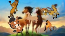 Finger Family Nursery Rhymes for Children .Horse Cartoons Finger Family Children Nursery Rhymes