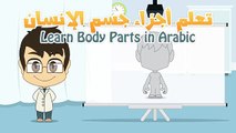 Human Body Parts in Arabic for Kids - أجزاء جسم الإنسان باللغة العربية للأطفال
