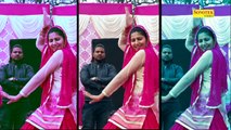 सपना के Hot डांस स्टेप्स, Sapna New Dance 2017, Sapna latest dance January 2017(720p)