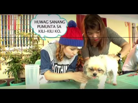 Julie and Dasuri versus ticks and parasites | Day Off