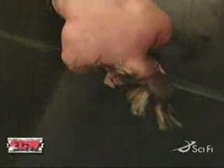 ShAnNoN MoOrE vs SaBu