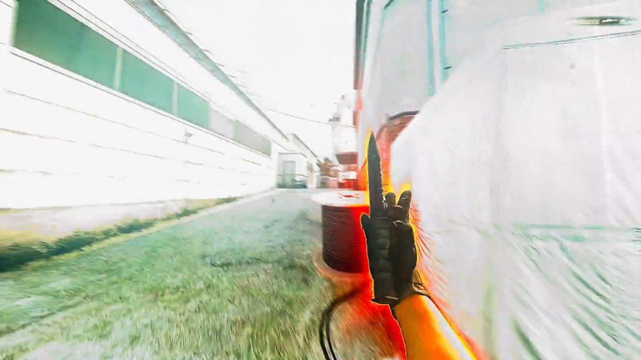 DEAD OR ALIVE #CSGO