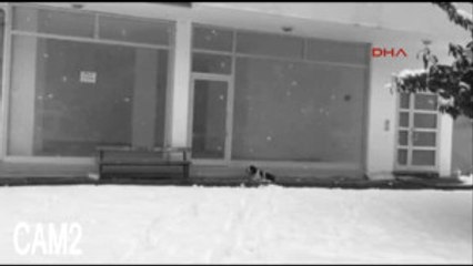 Giresun - Güvenlik Kamerasında Ayakkabı Hırsızını Ararken Bu Görüntü Ile Karşılaştı