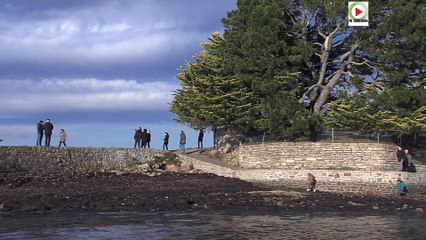 Vannes   |    Dans le Golfe du Morbihan - TV Golfe