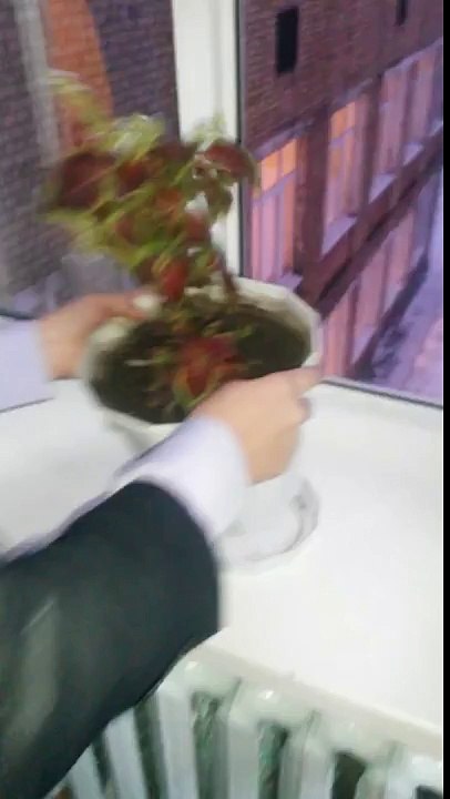порча имущества Лучшие Приколы 2016 2017