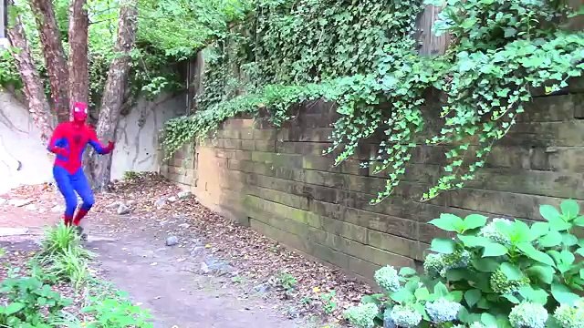 BABY ELSA Birthday Party!! Disney Princesses and Frozen Elsa w/ Spiderman vs Balloons & Gi