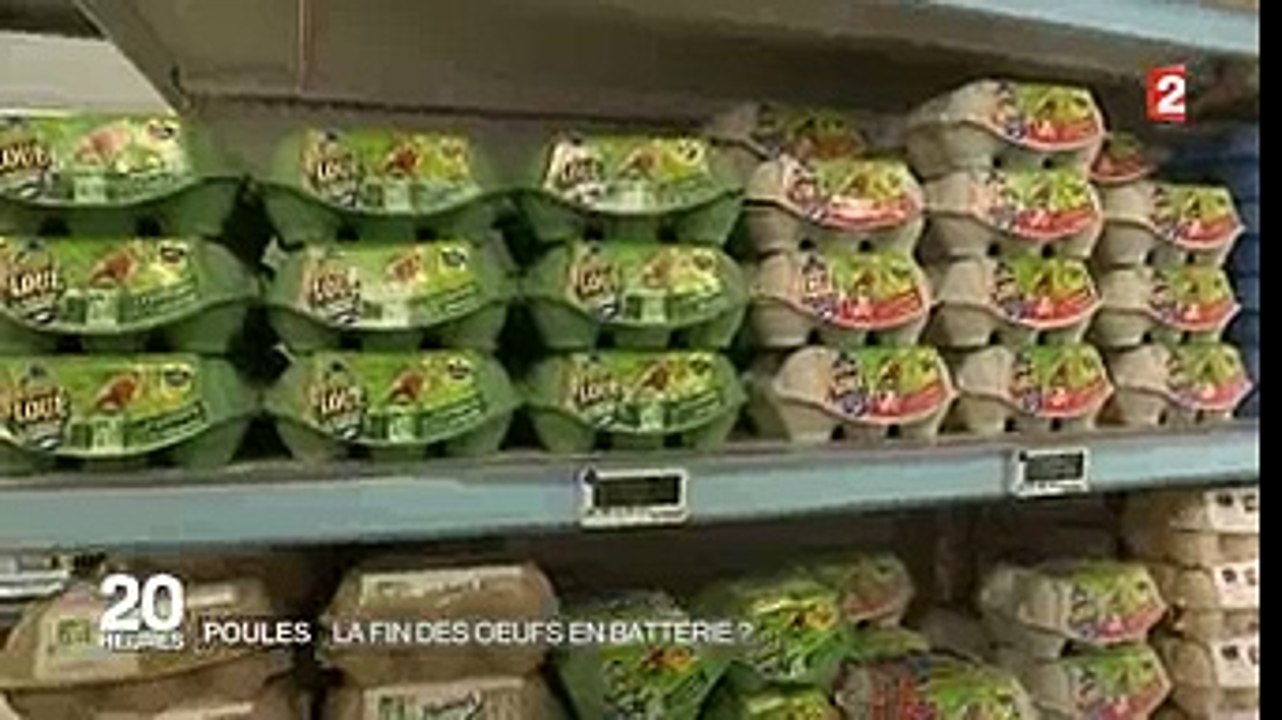 Les œufs issus de poules enfermées dans cages sont dans le collimateur de la grande distribution !