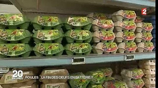 Les œufs issus de poules enfermées dans cages sont dans le collimateur de la grande distribution !