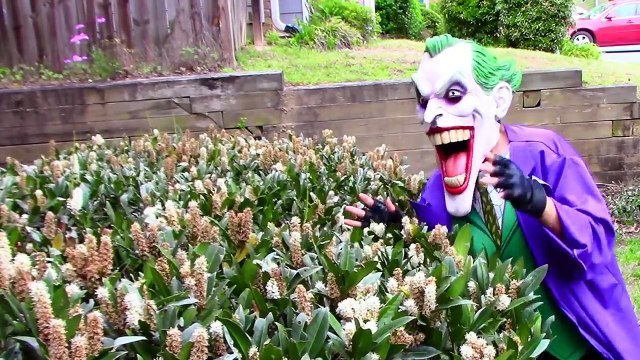 Frozen Elsa Anna become dolls with Spiderman Superhero funny video in real life