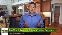 Pro2CaLL Termite & Pest Control Service, LLC Seminole Reviews Excellent Five Star Review