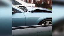 Adorable Dog Jumps Into Strangers Car For Food