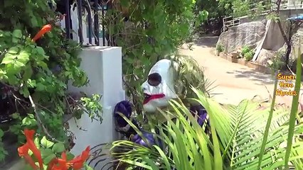 Princess Frozen Elsa Play | Joker Magic Elsa Becomes Toy | Spiderman Vs Joker Funny SuperHero Movie