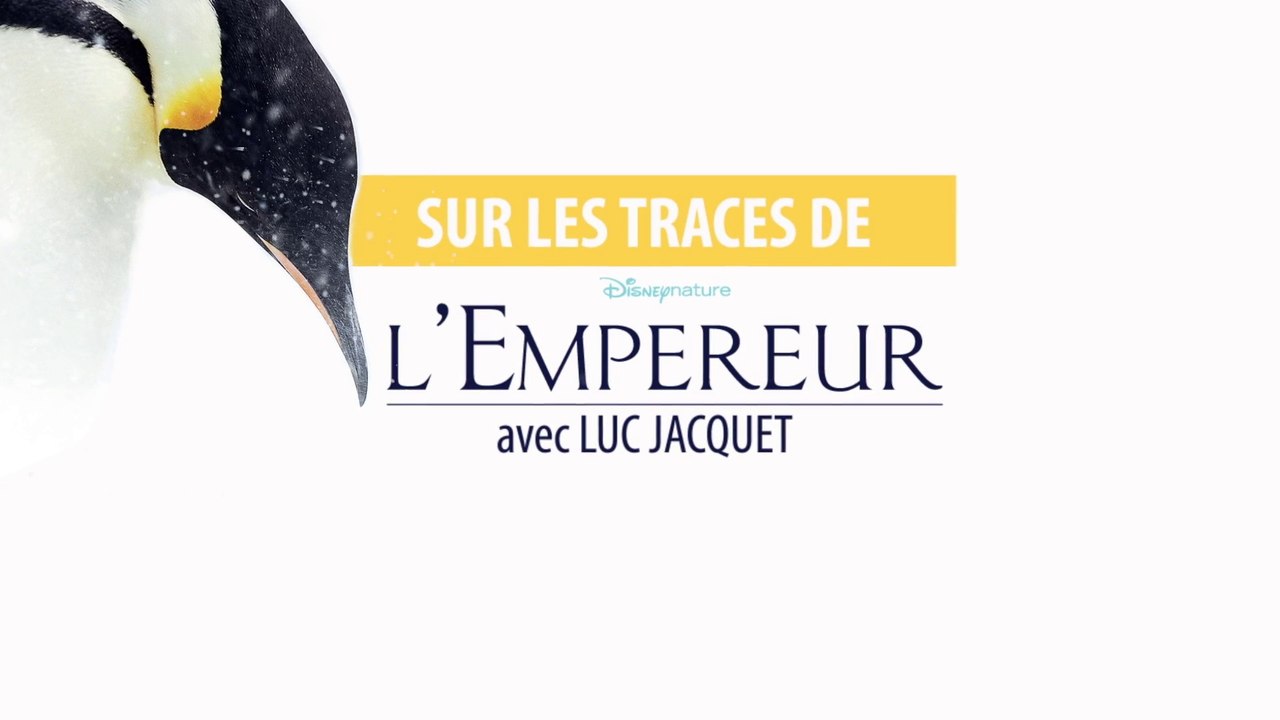 L'Empereur - Reportage  Sur les terres de L'Empereur (Disney - Disneynature) [Full HD,1920x1080p]