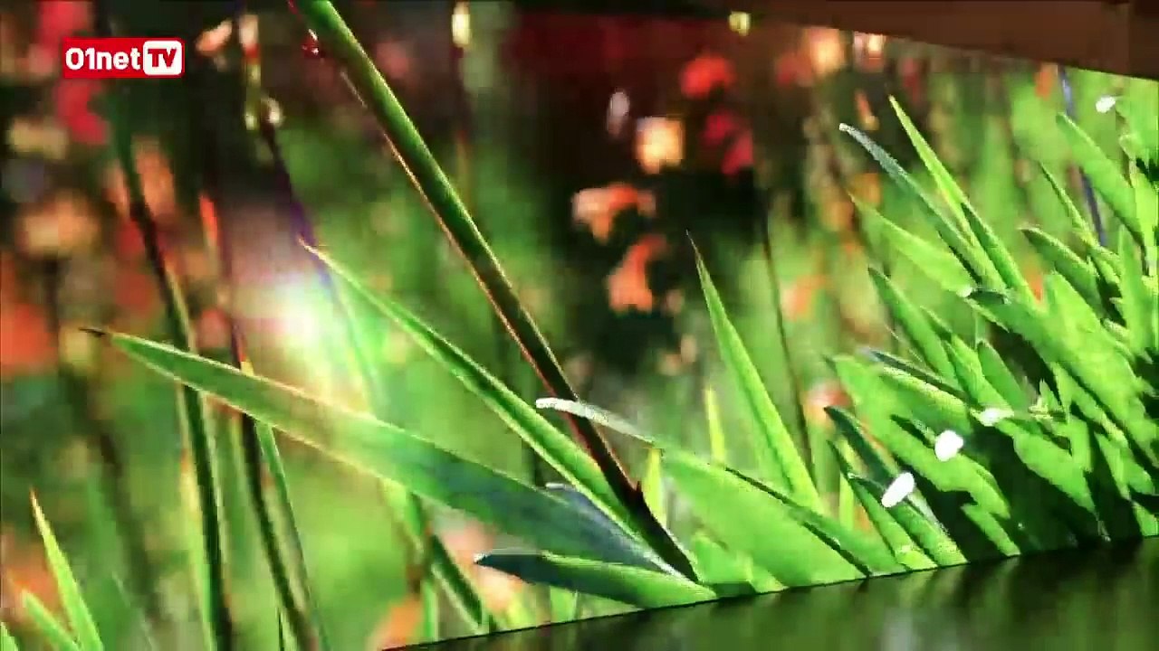 CES Las Vegas 01LIVE #3 : révolution dans la maison connectée