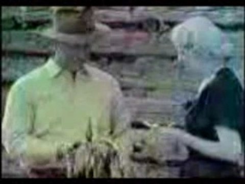 pub - Chesterfield Cigarettes