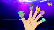 Cute shark finger family | Finger Family Shark Family Nursery Rhyme | Animal Finger Family