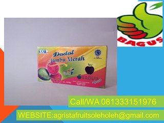 Call/WA 081333151976,(Telkomsel),grosir dodol buah khas batu