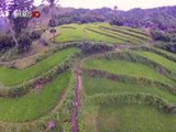 Antique Rice Terraces: Rediscovering Visayas's hidden gem | KMJS