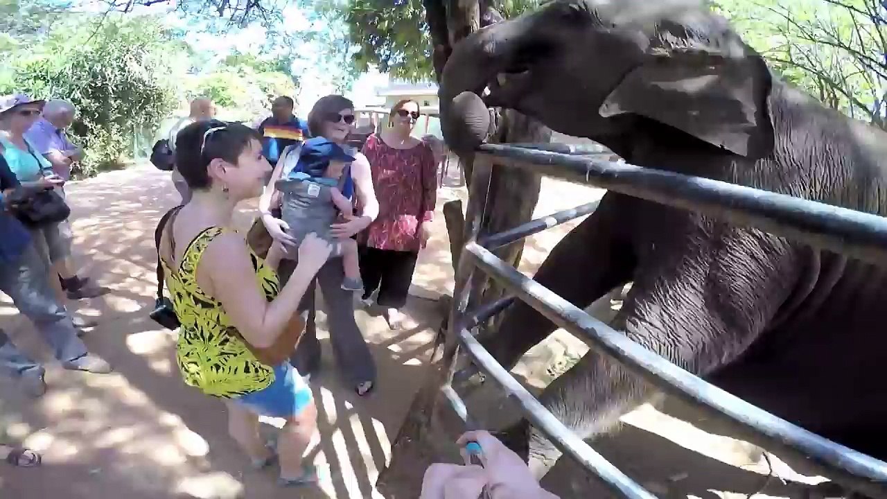 Best Fails of the Week 2 March 2016 || I Think We Got What Were Looking For by FailArmy