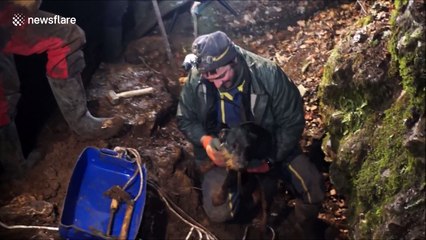 Caving experts rescue dog trapped in deep fox den