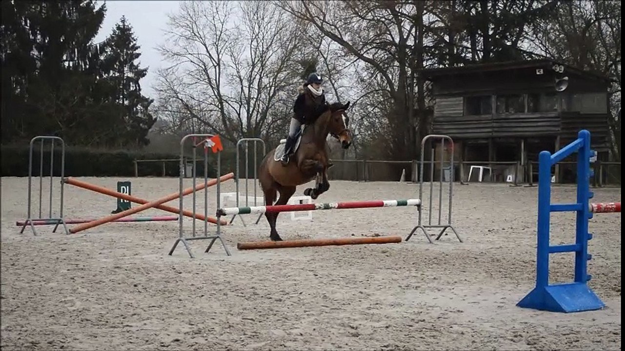 Quephebia d'Anguerny - 31/01/2017