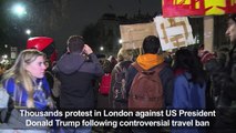 Tens of thousands join anti-Trump rally in London
