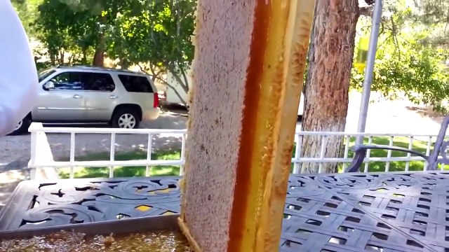 Старайся Не Залипнуть на 10 минут! Самое залипательное Видео :)