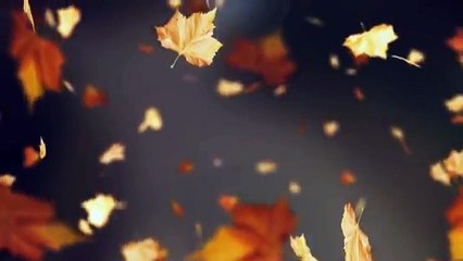 The Autumn Song | Autumn Song For Kids!