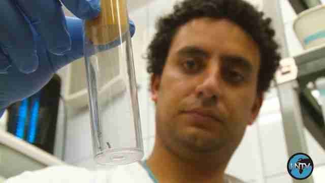 Unicef pide 31 millones de dólares para ayudar a niños afectados por zika