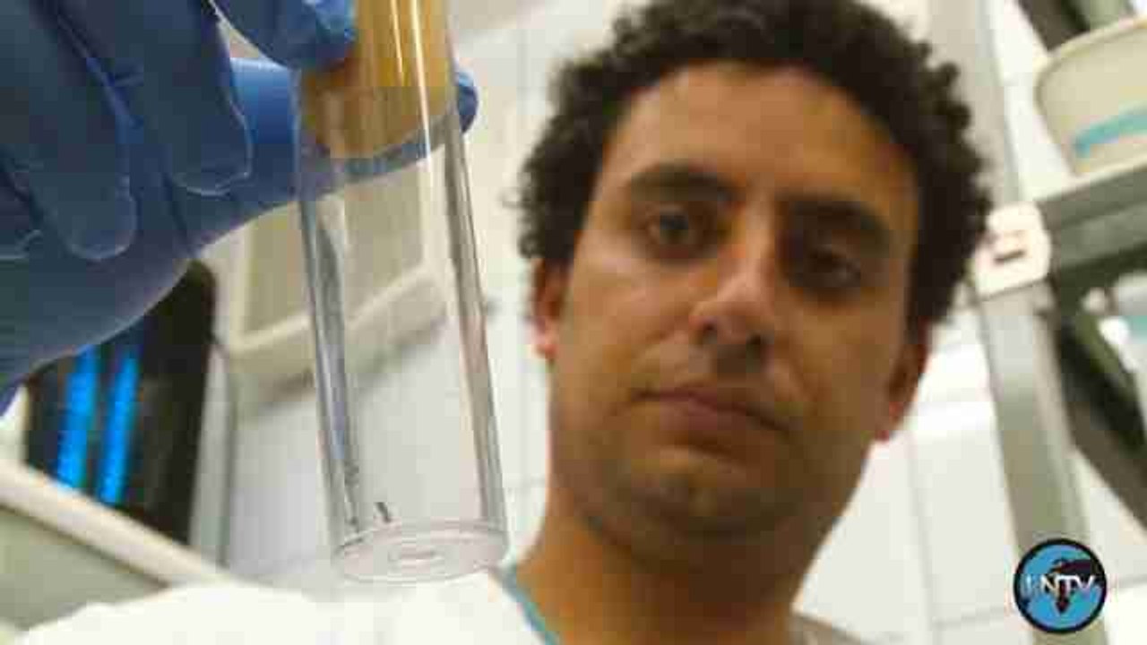 Unicef pide 31 millones de dólares para ayudar a niños afectados por zika