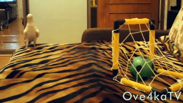 Подборка русских приколов 2015 ТОЛЬКО РУССКИЕ ! HD