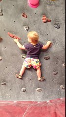 Scala una parete all'età di 18 mesi: ecco la baby-atleta in azione