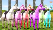 Horse Sounds Nursery Rhymes | Children Rhymes For Kids Collection