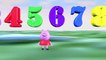 Peppa pig los numeros en espanol - videos infantil español - los números - aprender a contar