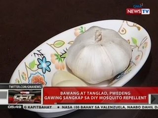 QRT: Bawang at tanglad, pwedeng gawing sangkap sa DIY mosquito repellent