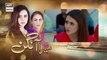 Watch Mera Aangan Episode 14 - on Ary Digital in High Quality 31st January 2017