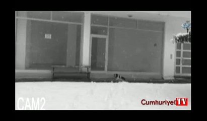 Montunu çıkartıp köpeğin üzerini örttü