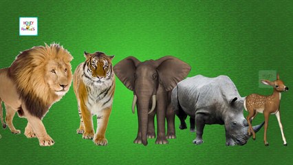 Finger Family Collection | Top 10 Animals Cartoons for Kids | 3D Animation Kids Rhymes & Songs