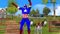 Superheroes Finger Family Mega Collection | Superheroes Cartoons Animal Finger Family Nursery Rhymes