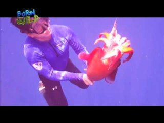 Where are the big squids? | Born to be Wild