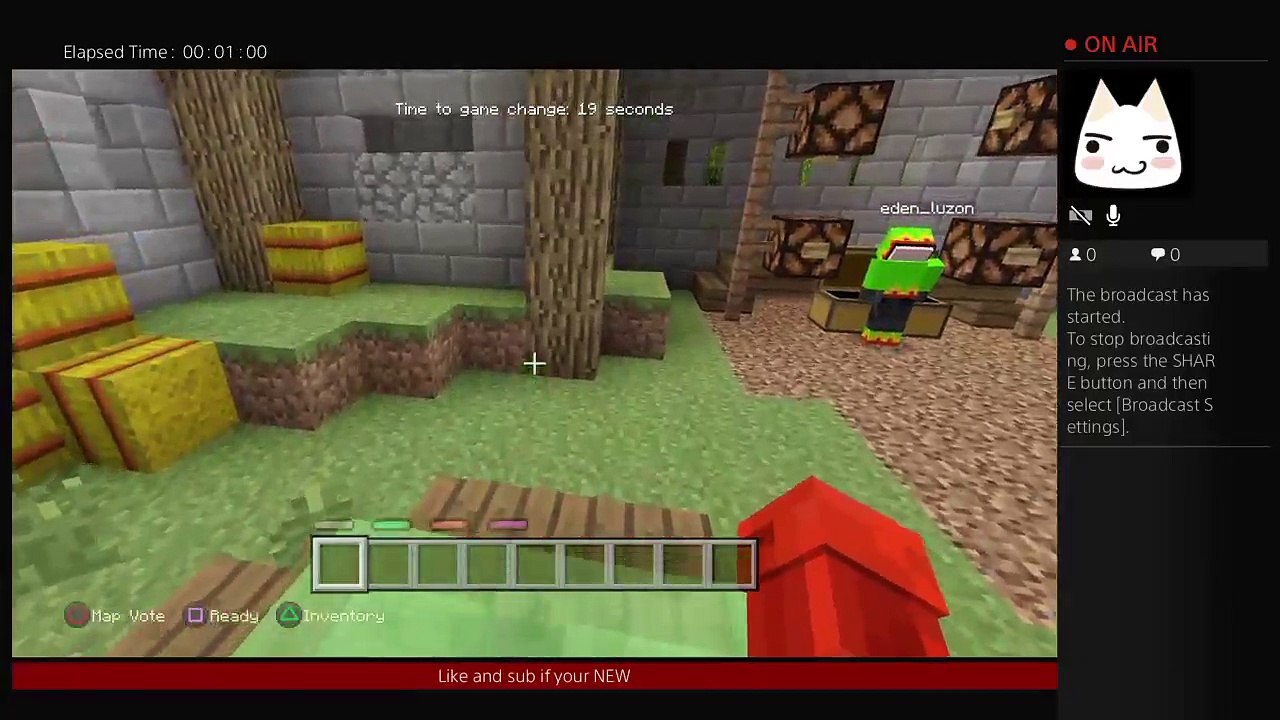 Minecraft