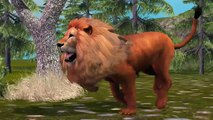 3D Animated Lion Finger Family Rhymes or Children | 3D Finger Family Rhyems For Children