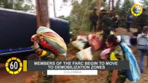 In 60 Seconds: Members of the FARC Begin to Move to Demobilization Zones